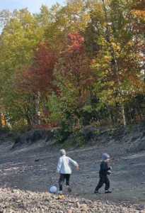 The colors of fall
